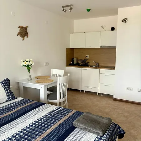 Oasis Premium Lozeneț