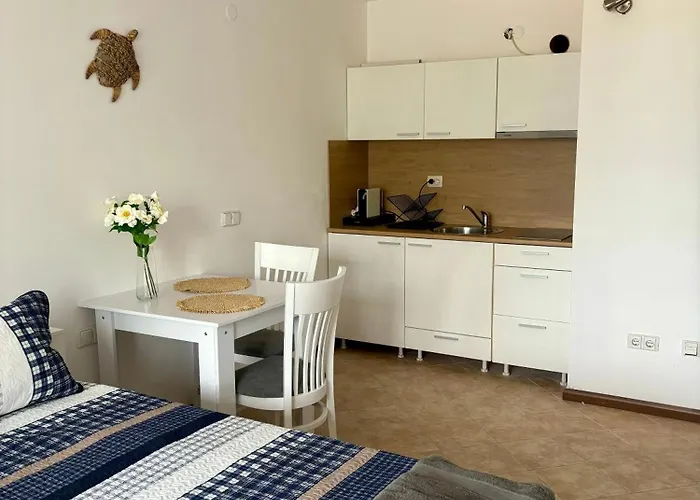 Oasis Premium לוזנטס