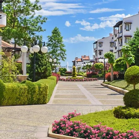 Oasis Premium *